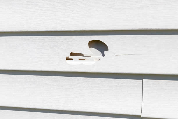 Best Hoarding Cleanup  in El Mirage, AZ